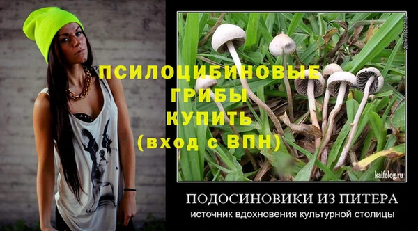 прущий лед Алзамай