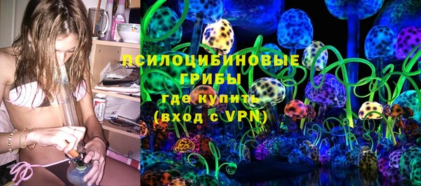 прущий лед Алзамай