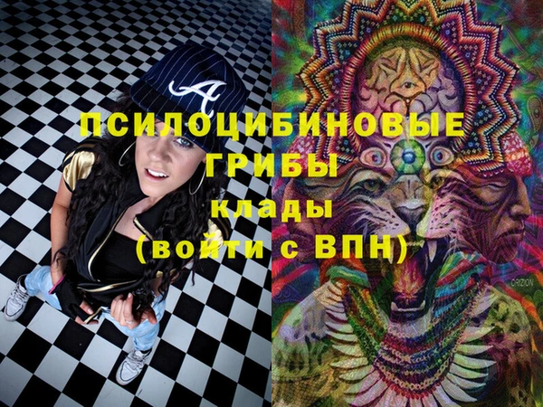 прущий лед Алзамай