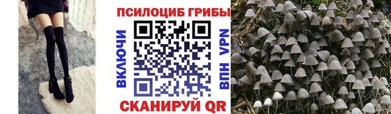 Псилоцибиновые грибы ЛСД купить Муравленко