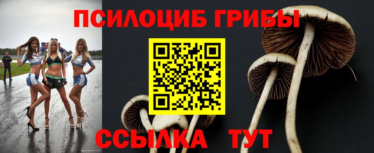 Псилоцибиновые грибы Cubensis  Вход с VPN  Муравленко 